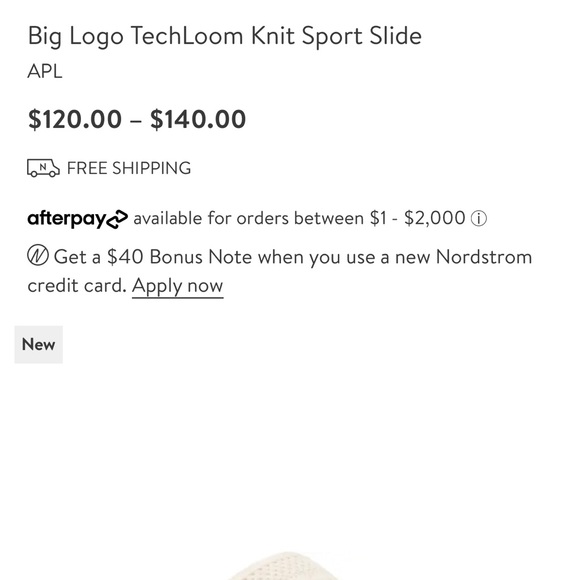 NEW APL Techloom Big Logo Slides - Picture 8 of 8